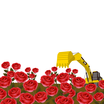 挖掘机,玫瑰