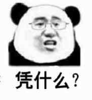 熊猫,什么