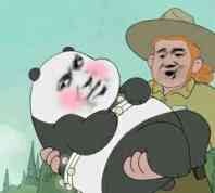 抱抱,熊猫