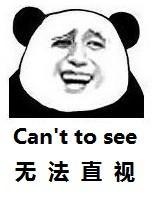 can't,直视,see,无法,to
