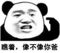 com,doutula,像不像,熊猫,doutula.com
