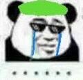 绿帽熊猫哭了