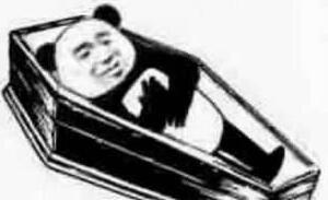 熊猫躺在棺材里